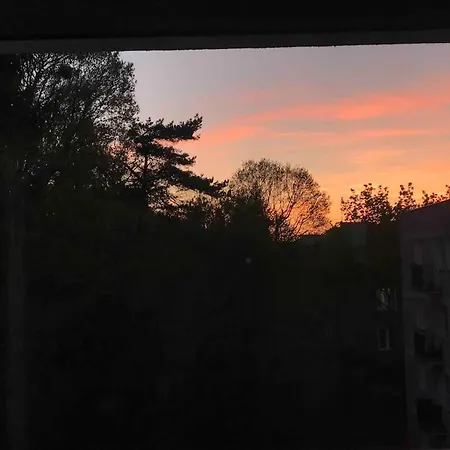 Nocleg Przy Lesie,blisko Centrum Lägenhet